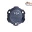 Capac Motor
