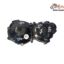Capac Motor