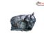 Capac Motor