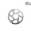 Pinion Spate