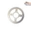 Pinion Spate