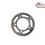 Pinion Spate