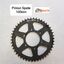 Pinion Spate