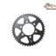Pinion Spate