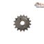 Pinion Spate