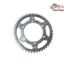 Pinion Spate