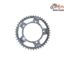 Pinion Spate