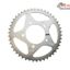 Pinion Spate