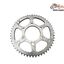Pinion Spate