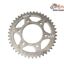 Pinion Spate