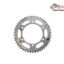 Pinion Spate