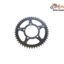 Pinion Spate