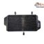 Radiator Antigel