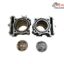 Set Motor