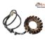 Stator