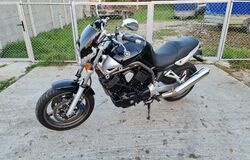 Yamaha Bulldog 1100