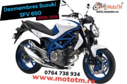 Suzuki SFV 650 Gladius