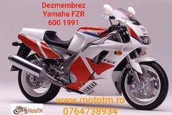 Yamaha FZR 600 1991