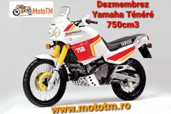Yamaha Tenere