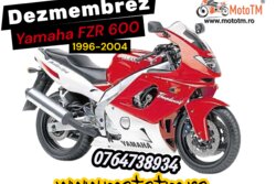 Yamaha YZF 600 R Thundercat 1996-2004