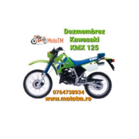 Kawasaki KMX & KDX 125