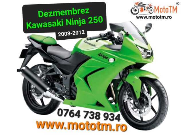 Kawasaki Ninja 250