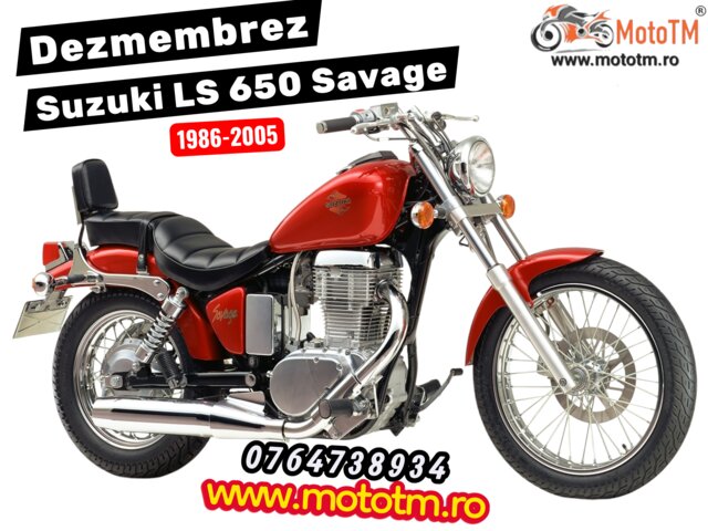 Suzuki LS 650 Savage