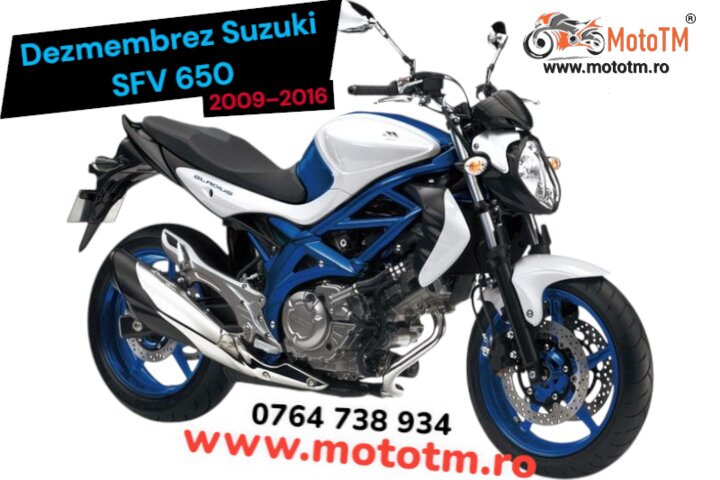 Suzuki SFV 650 Gladius