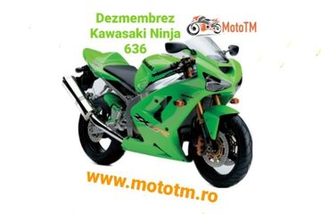 Piese Kawasaki Ninja 636 din dezmembrări