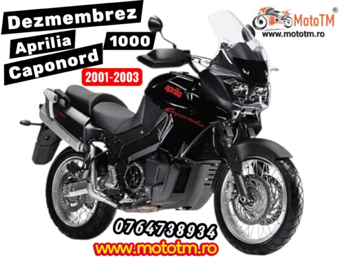 Aprilia ETV 1000 Caponord 2001-2003