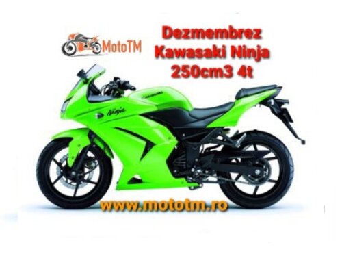 Kawasaki Ninja 250
