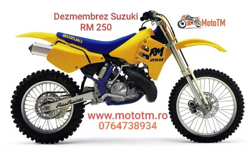 Suzuki Rm 250