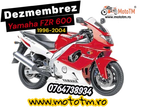 Yamaha YZF 600 R Thundercat 1996-2004